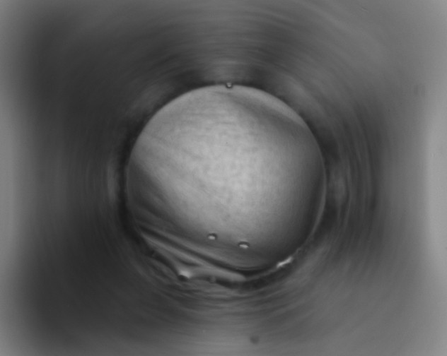 X0000094330255200711161955