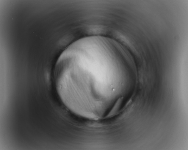 X0000094330258200711161955