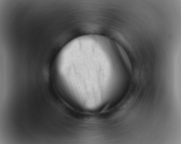 X0000094330259200711161955