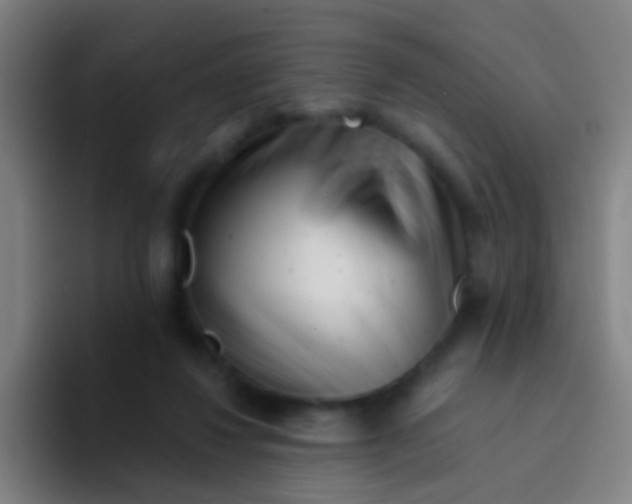 X0000094330260200711161955