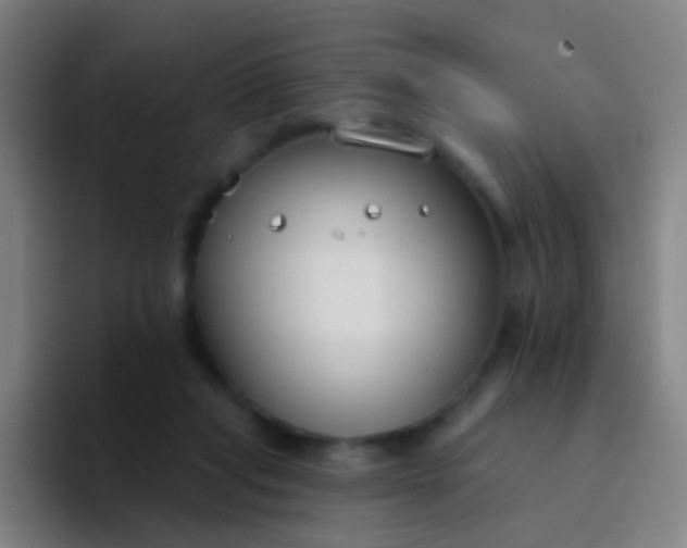 X0000094330261200711161955
