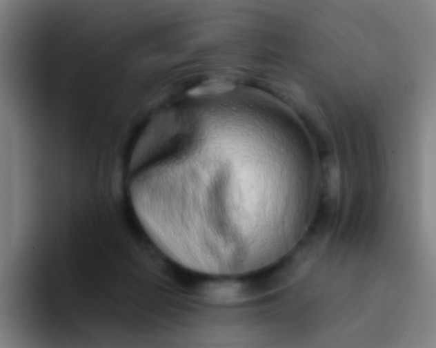 X0000094330266200711161956