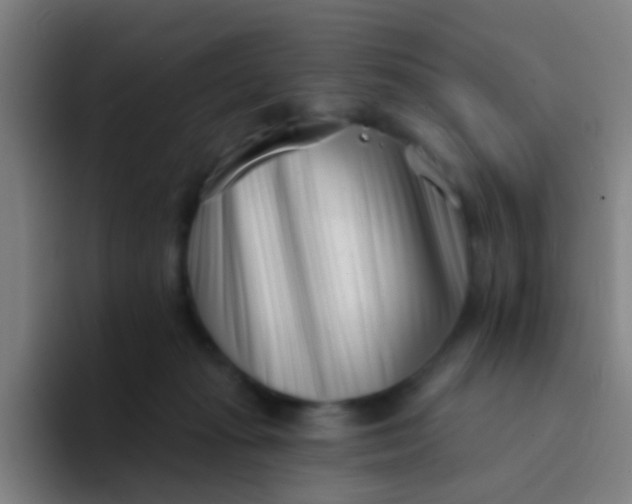X0000094330269200711161956