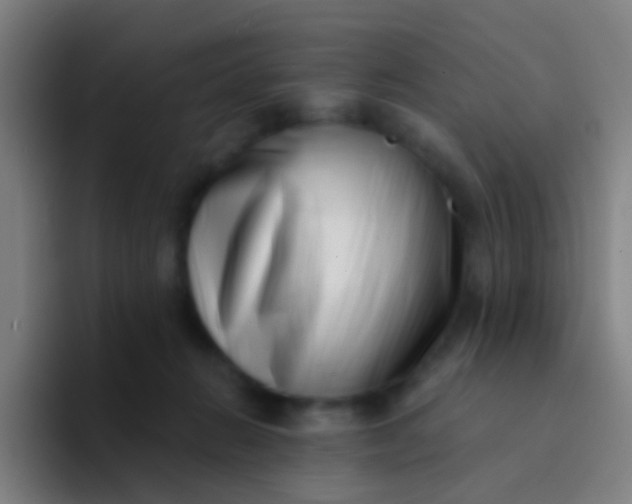 X0000094330270200711161956