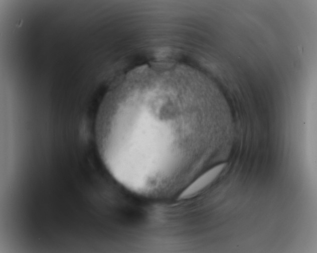 X0000094330272200711161956