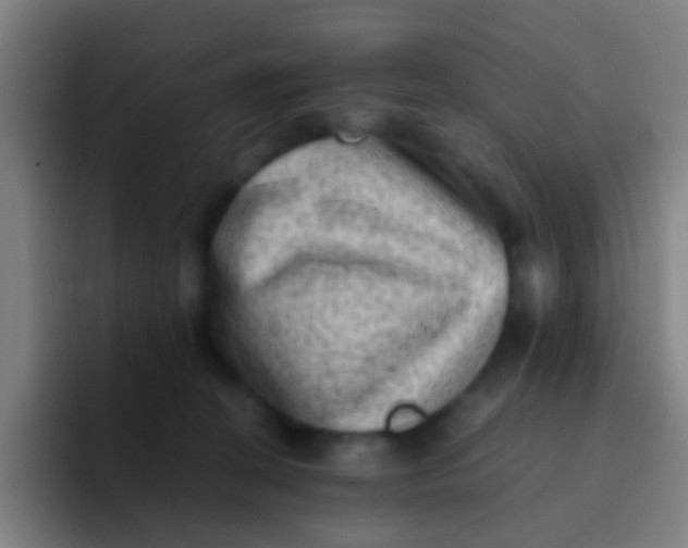 X0000094330274200711161956