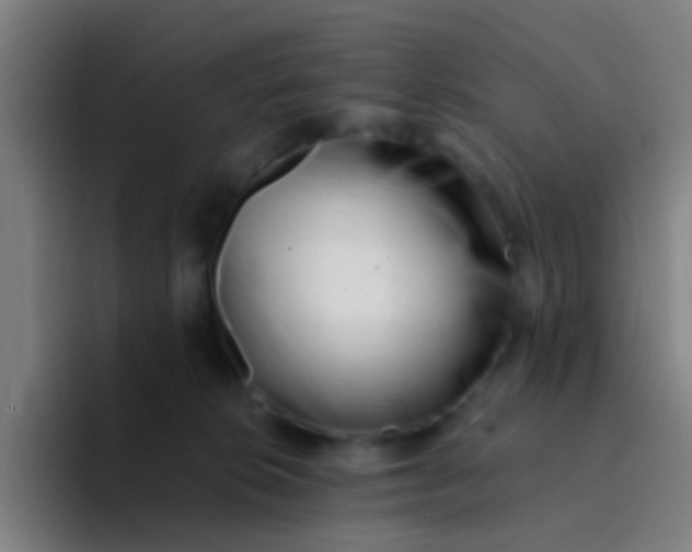 X0000094330276200711161956