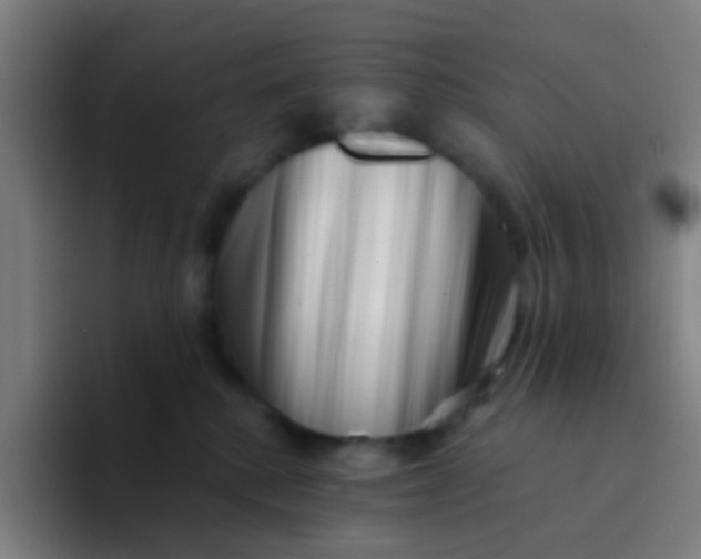 X0000094330280200711161956