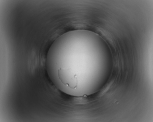 X0000094330281200711161956