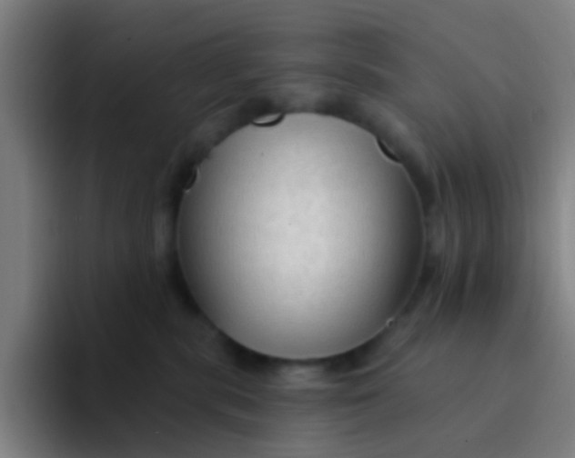 X0000094330283200711161956