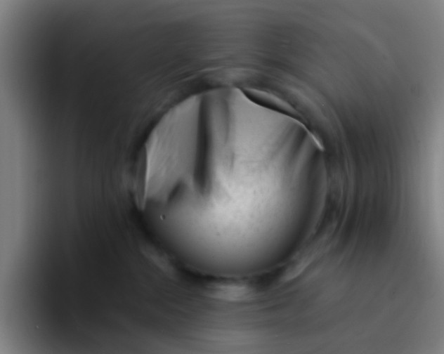 X0000094330284200711161956
