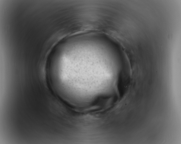 X0000094330290200711161955
