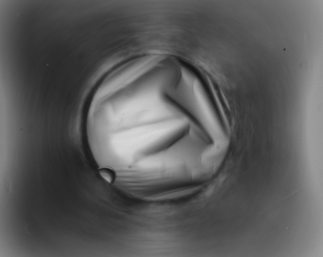 X0000094330292200711161955