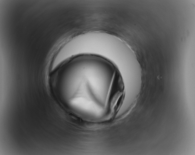 X0000094330293200711161955