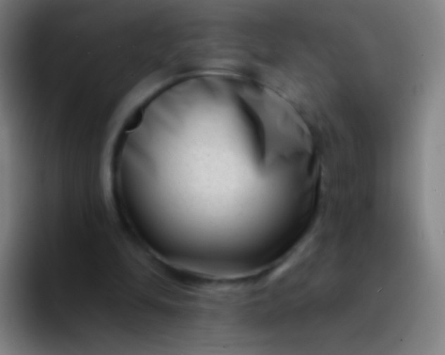 X0000094330294200711161955