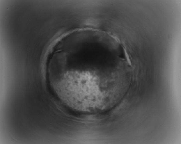 X0000094330295200711161955