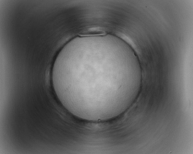 X0000094330297200711161955
