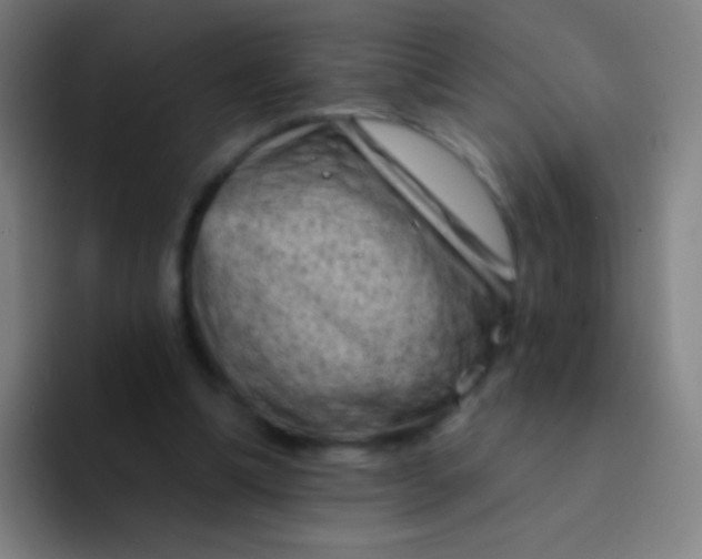X0000094330298200711161955