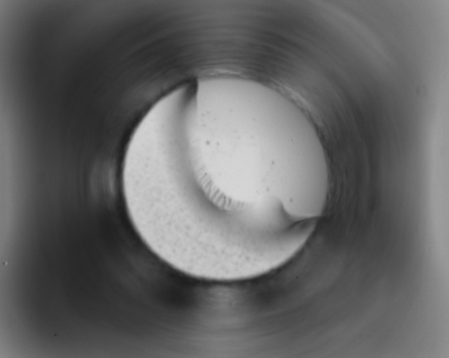 X0000094330302200711161955