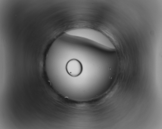 X0000094330309200711161955
