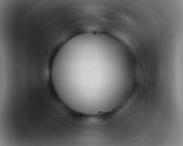 X0000094330310200711161955