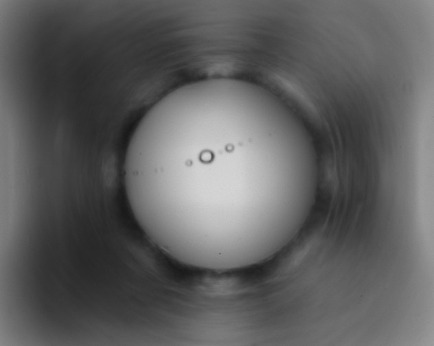 X0000094330311200711161955