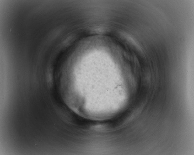 X0000094330312200711161955