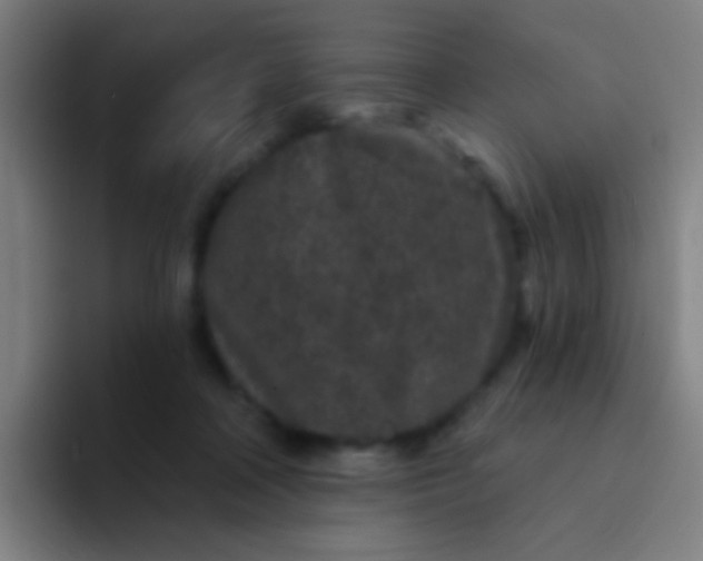 X0000094330314200711161955