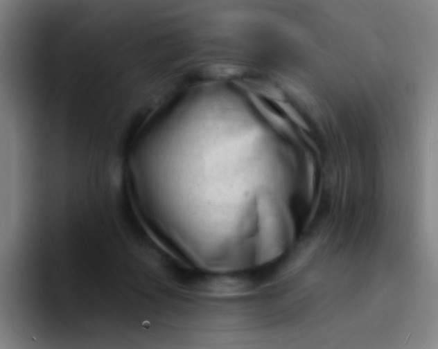 X0000094330315200711161955
