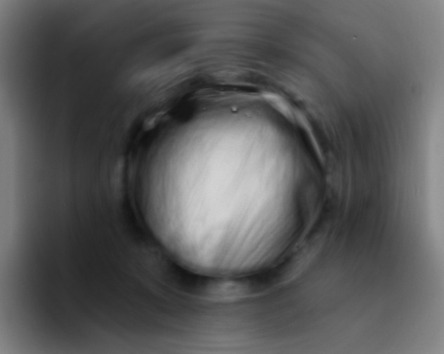 X0000094330319200711161955