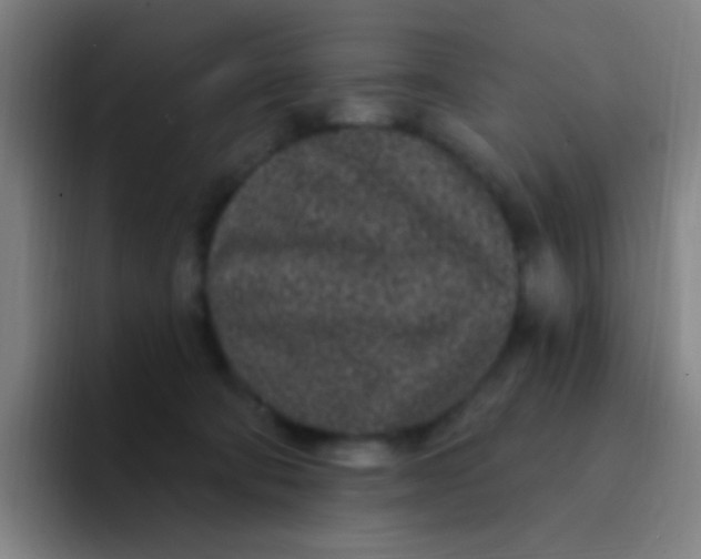 X0000094330322200711161955