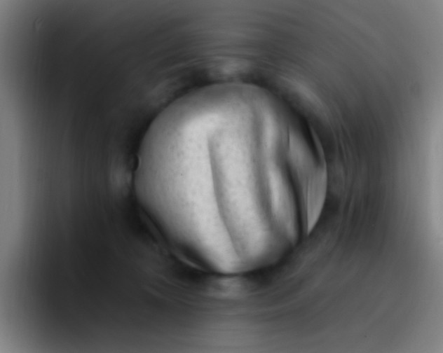 X0000094330324200711161955