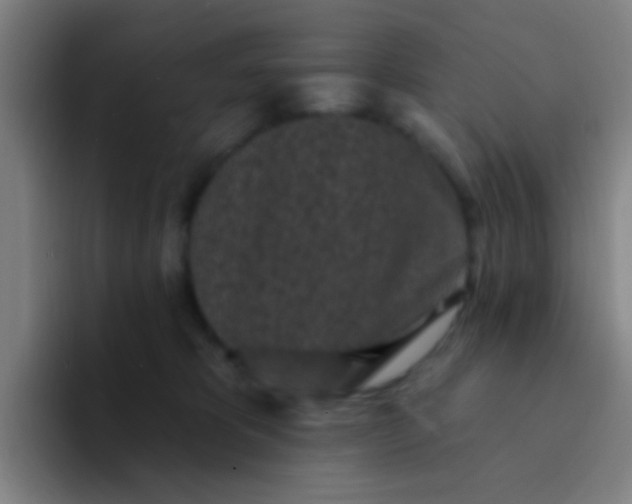 X0000094330325200711161955