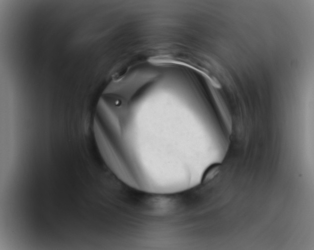 X0000094330326200711161955