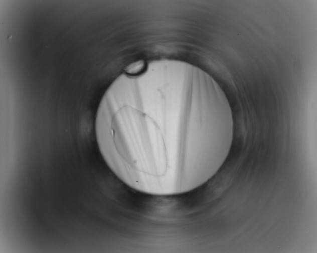 X0000094330328200711161955