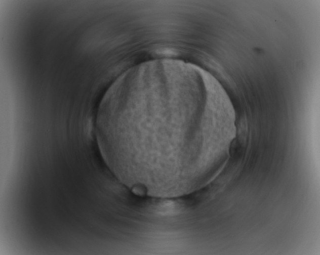 X0000094330330200711161955