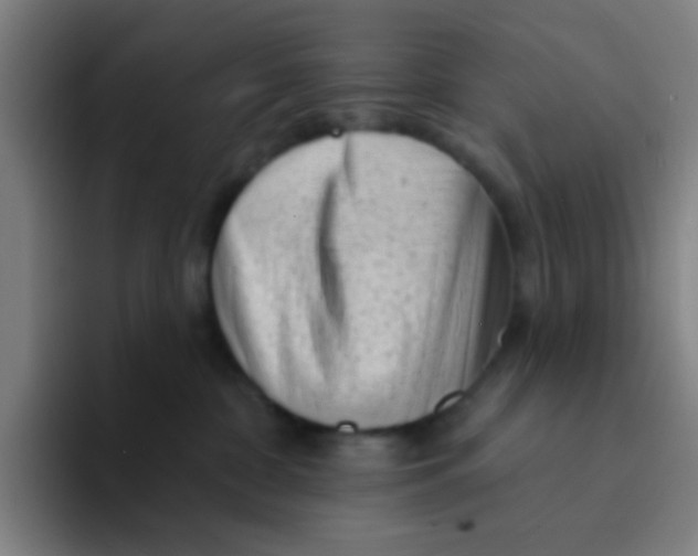 X0000094330332200711161955