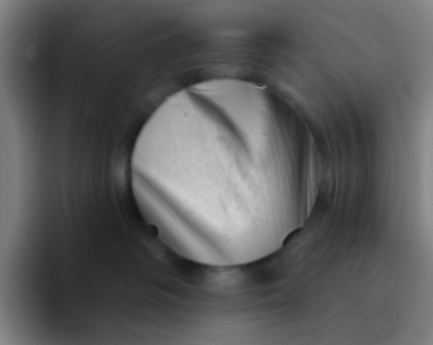 X0000094330334200711161955