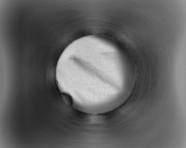 X0000094330336200711161955