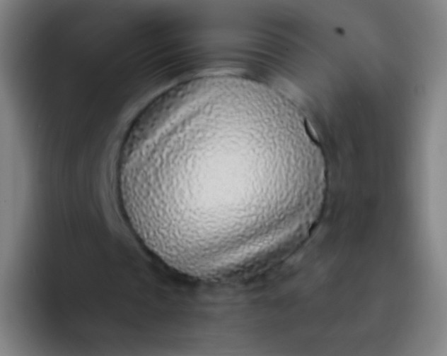 X0000094330337200711161954