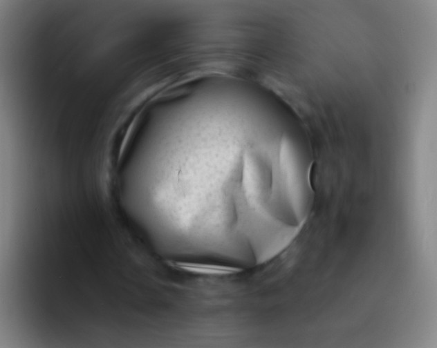 X0000094330338200711161954