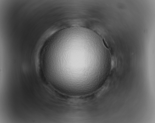 X0000094330339200711161954