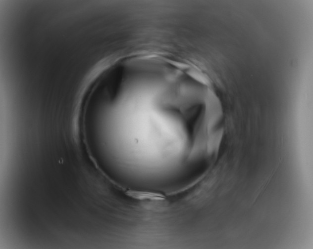 X0000094330340200711161954