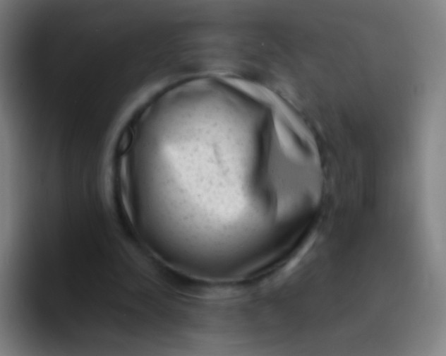 X0000094330342200711161954