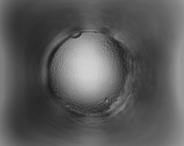 X0000094330343200711161954