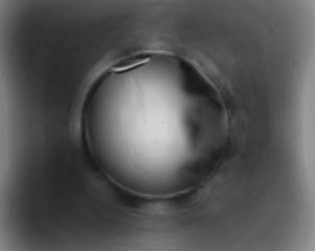 X0000094330344200711161954