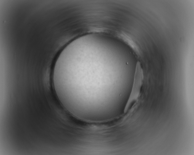 X0000094330346200711161954