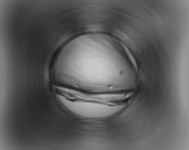 X0000094330347200711161954