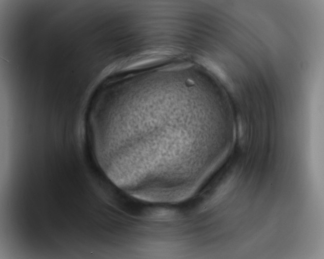 X0000094330348200711161954