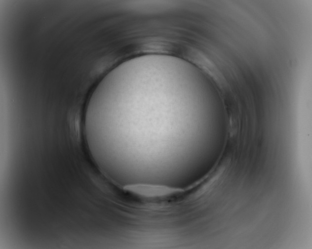 X0000094330349200711161954
